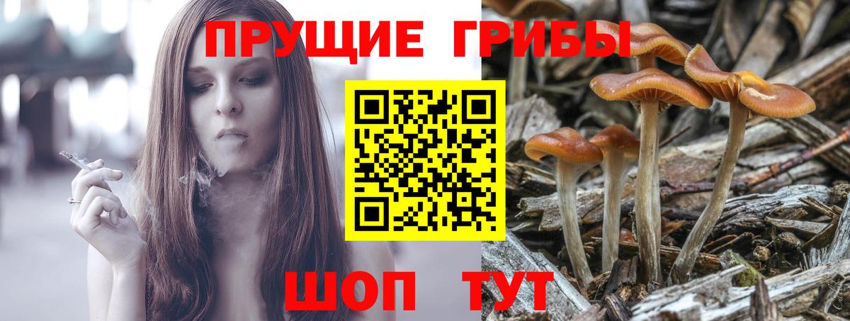 Кандалакша  Галлюциногенные грибы мухоморы  Вход с VPN 